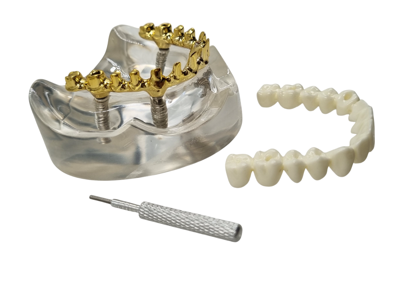 Julldent 181 All on 4 Paulo Malo Model with Prosthesis - Image 6