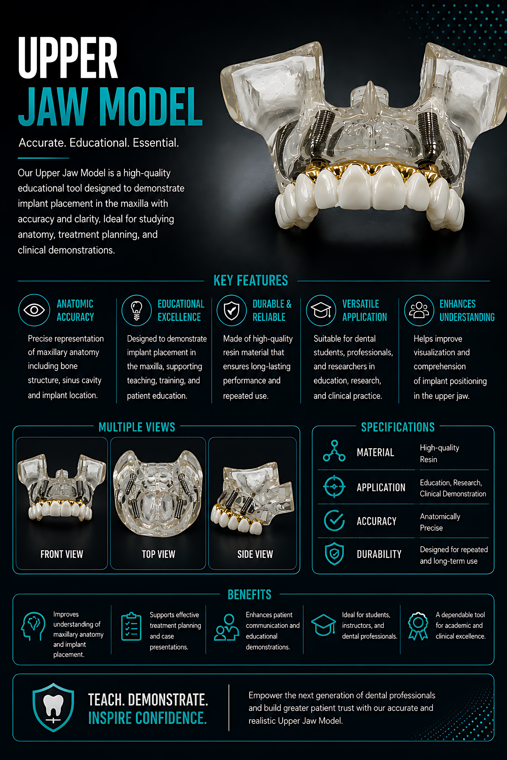 Julldent 205 Upper Jaw Model - Image 2
