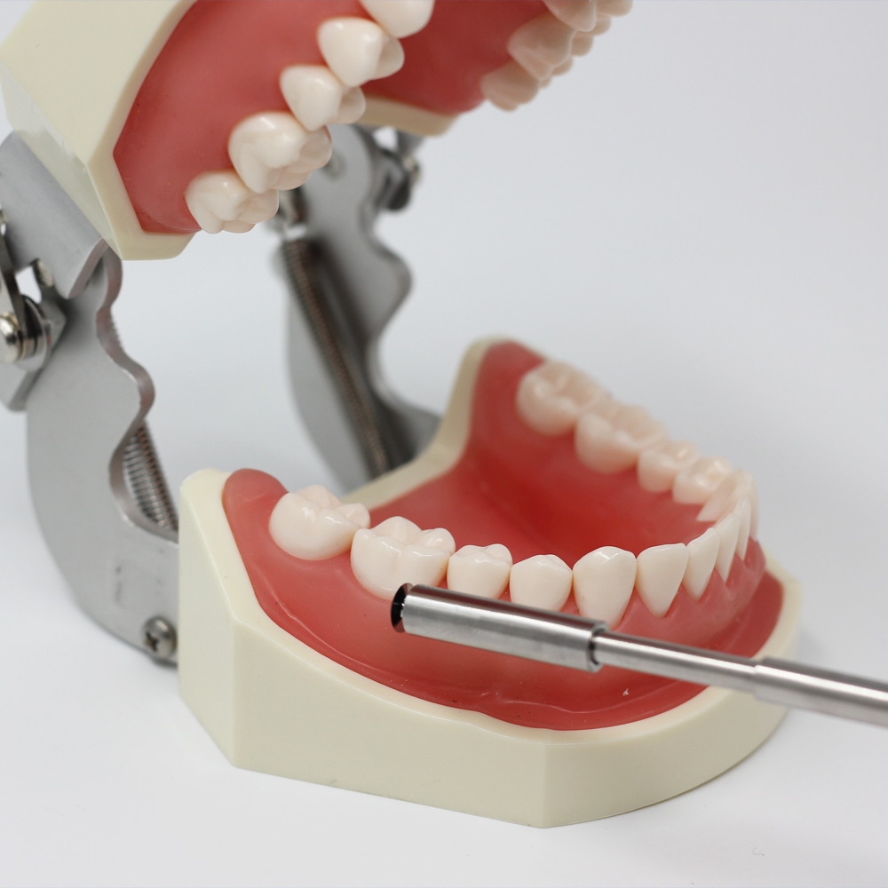 Julldent 054 Bone Scraper New European Pattern - Image 4