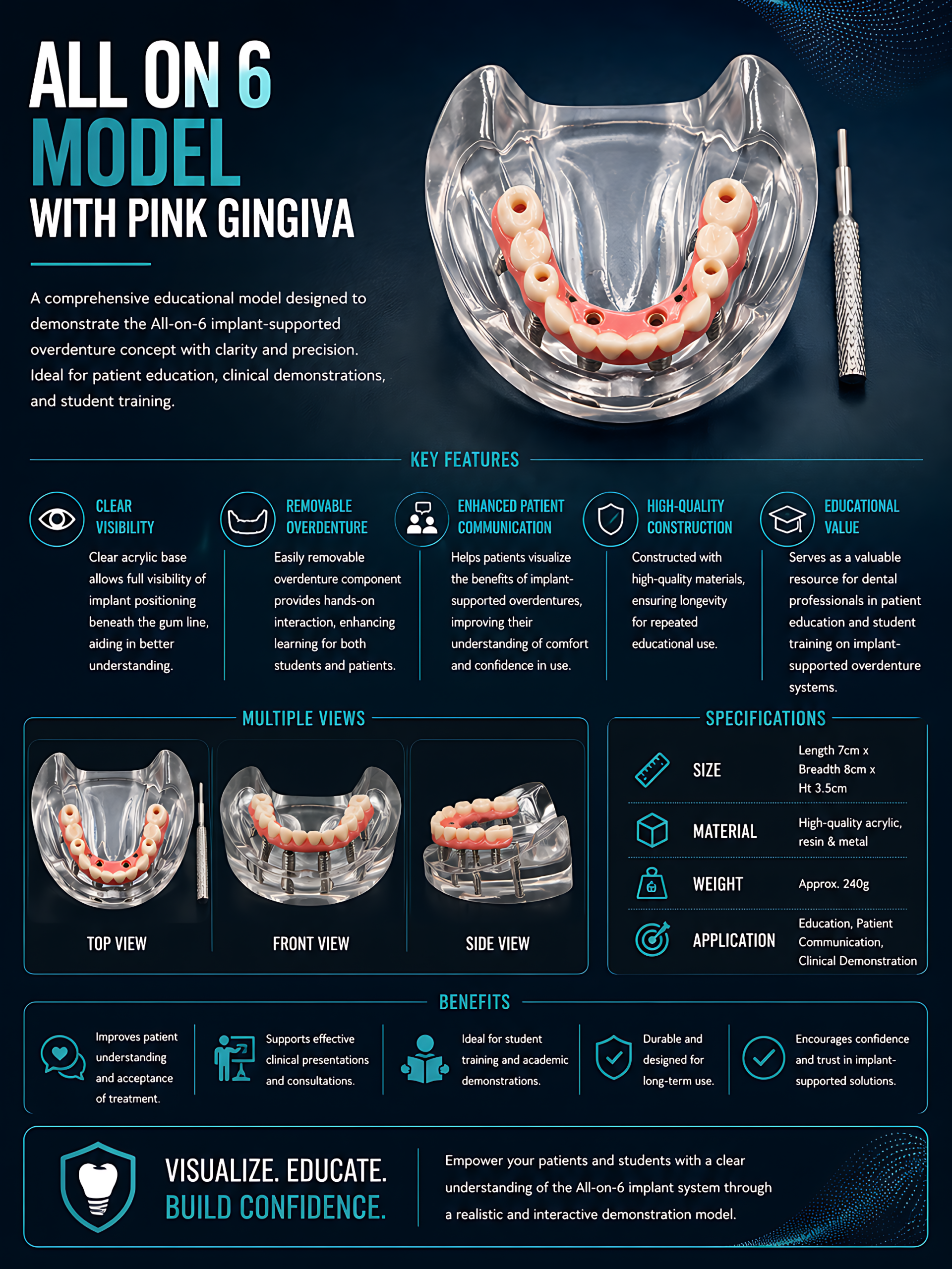 Julldent 202 All on 6 model with pink gingiva - Image 2