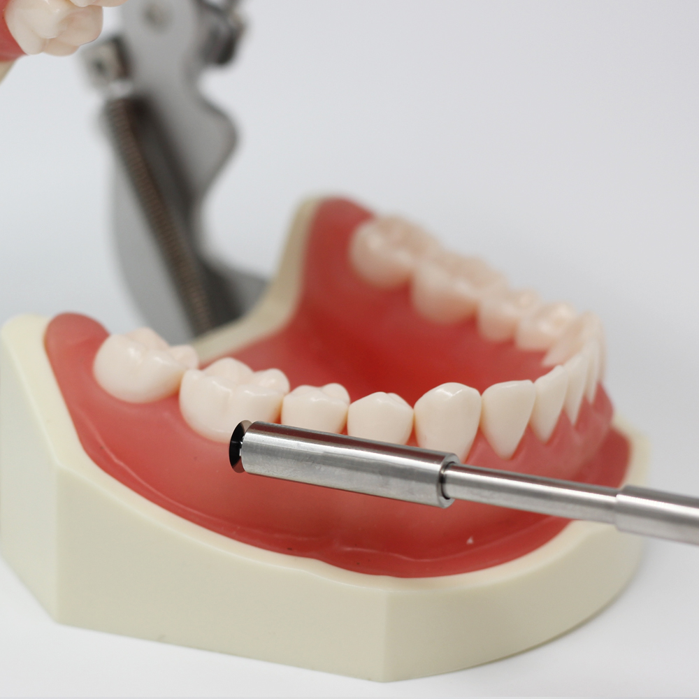 Julldent 054 Bone Scraper New European Pattern - Image 5