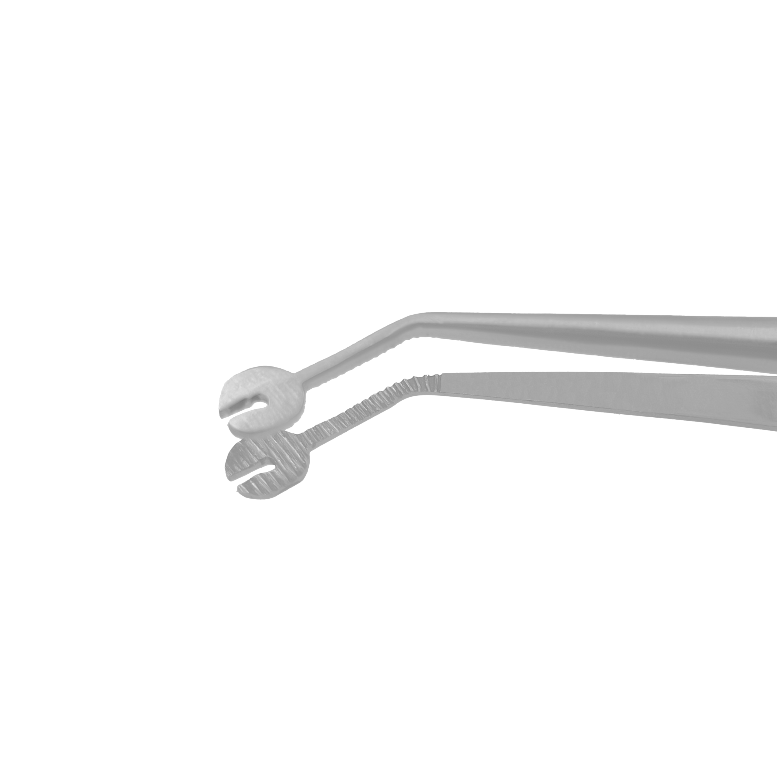 Julldent 074 Micro Tissue Forceps - Image 10