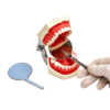 Julldent 115 Smart Mirror for Dental Photography