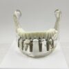 Julldent 208 Lower Jaw Model